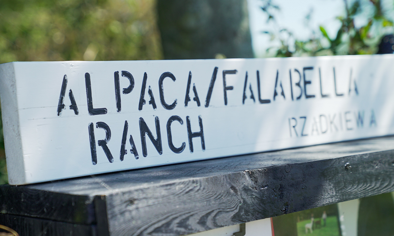 Alpaca & Falabella Ranch