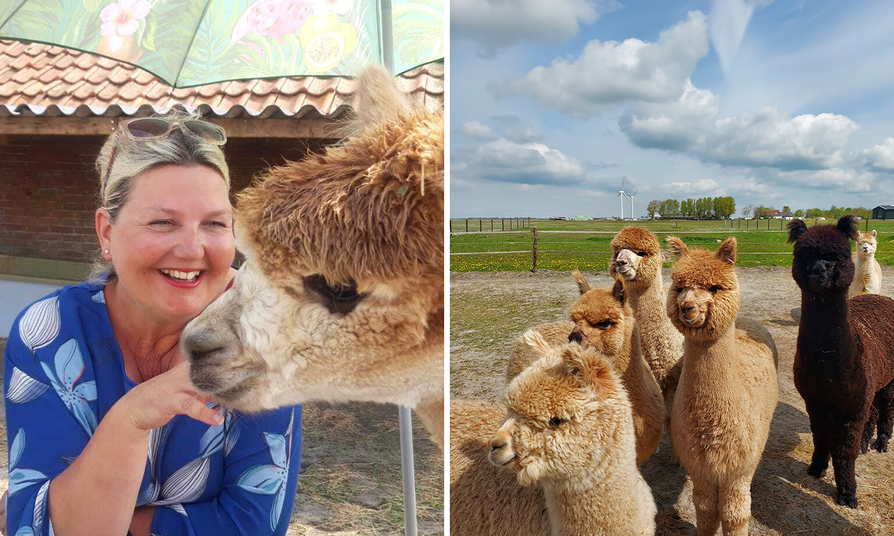 Alpaca World Friesland