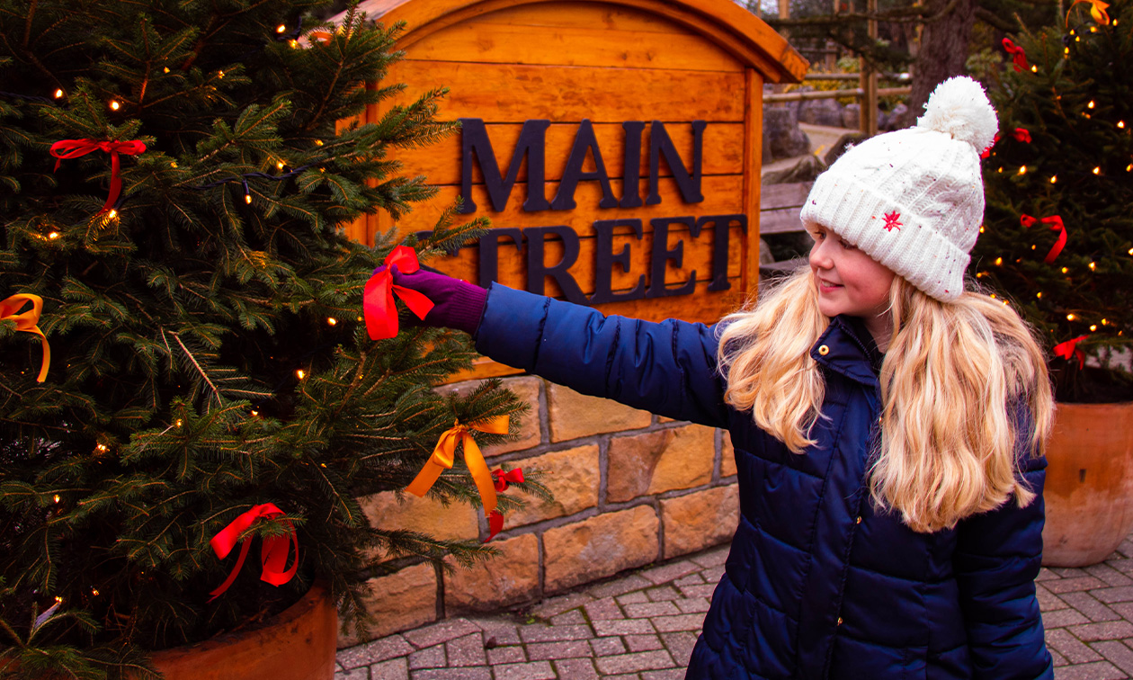 Attractie- & Vakantiepark Slagharen