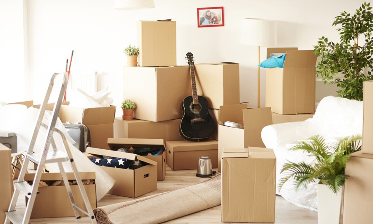 Best Movers