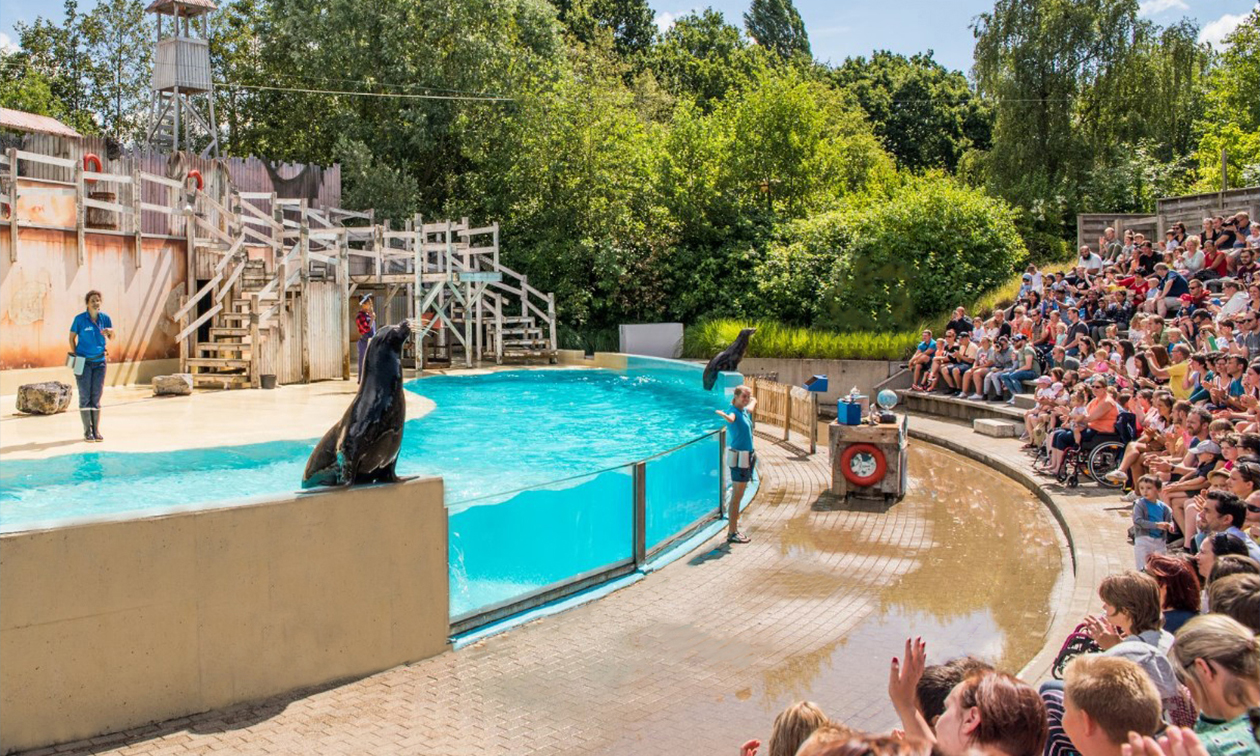 Boudewijn Seapark