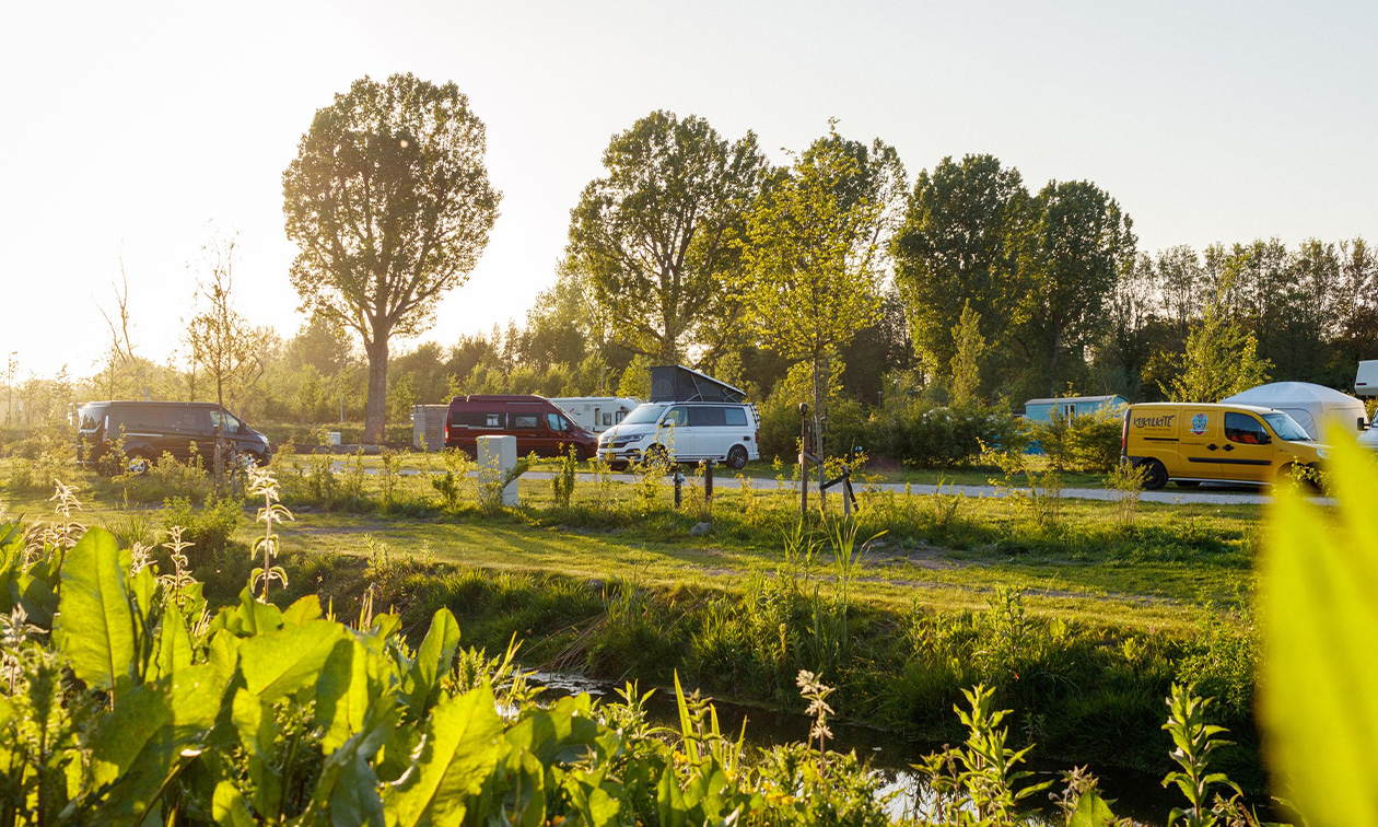 Camping Amsterdam Gardens