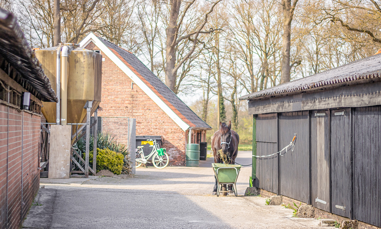 Camping Klein Haneveld