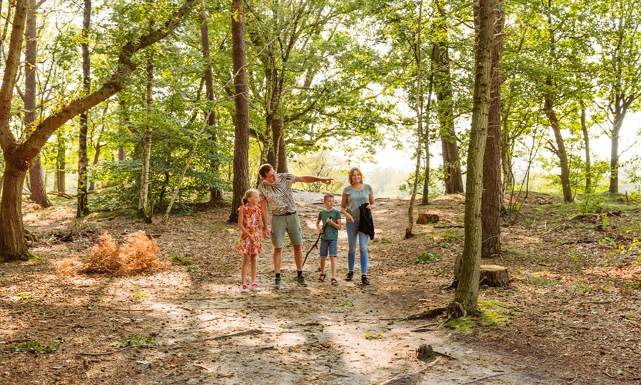 Camping Ommerland