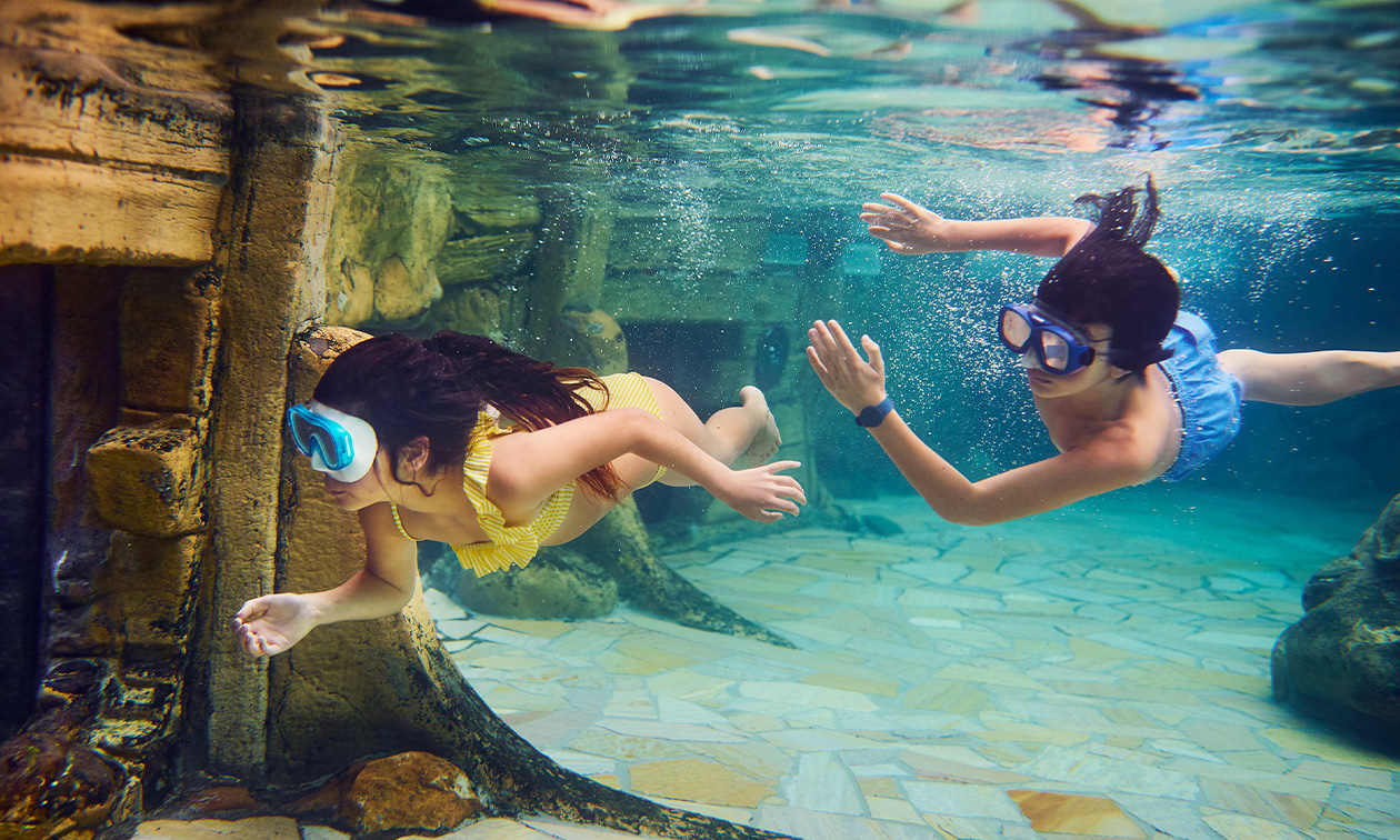 Center Parcs De Kempervennen