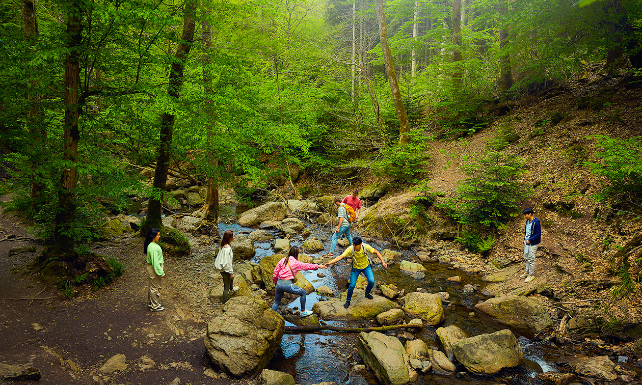 Center Parcs Les Ardennes
