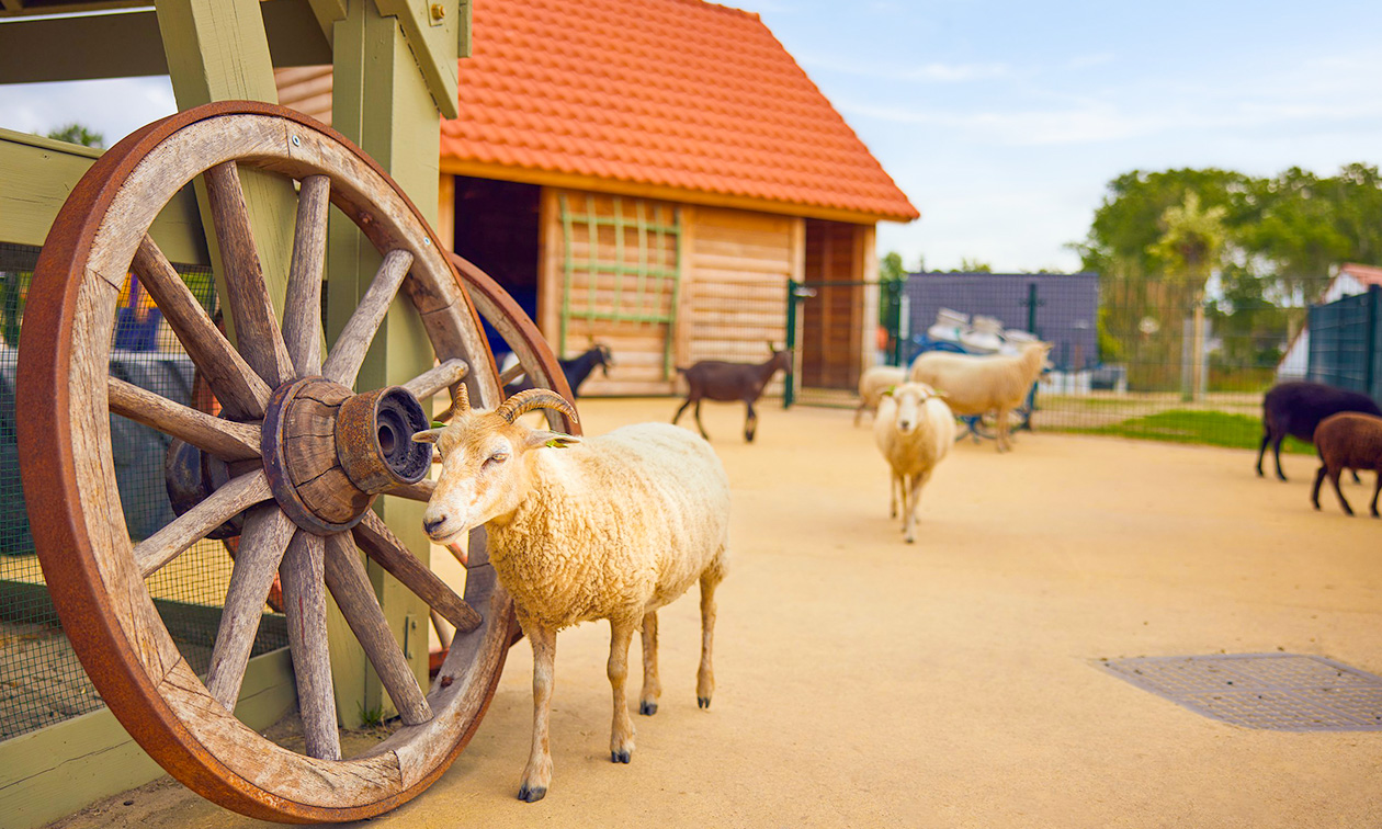 Center Parcs Mystery Park