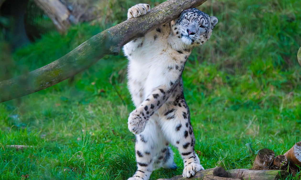 Dierenpark Hoenderdaell