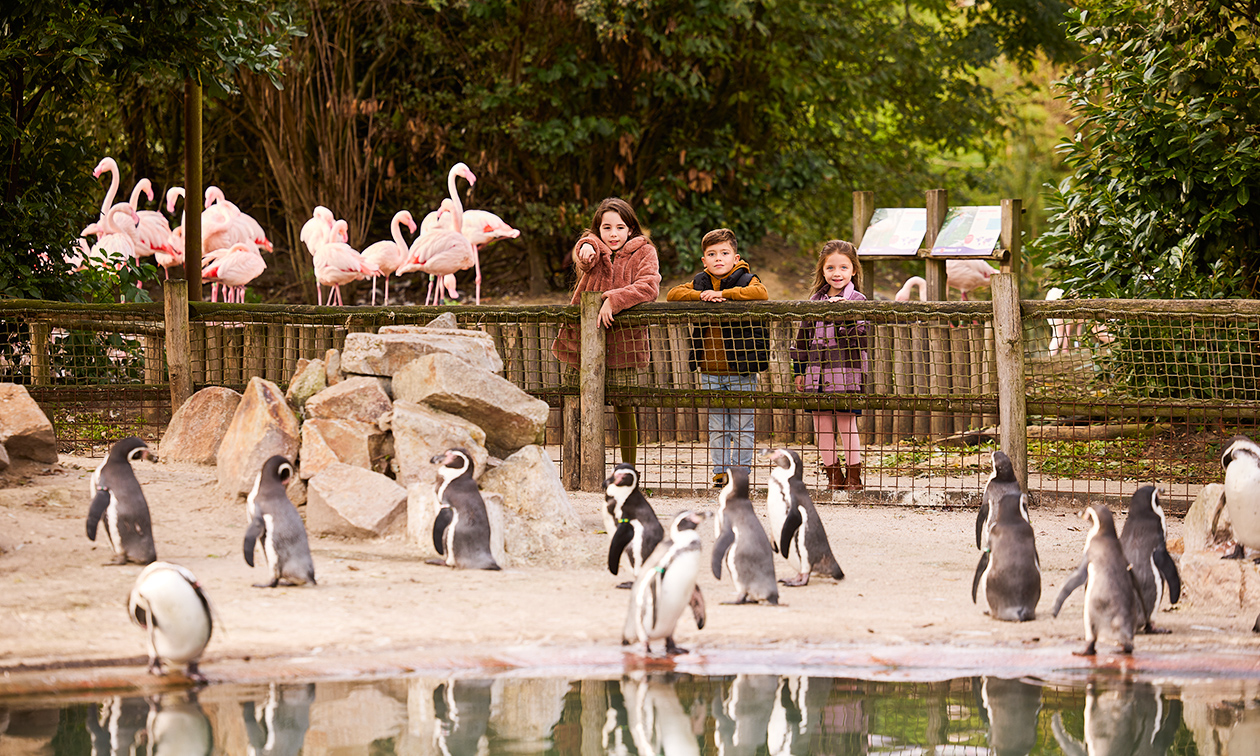 Eindhoven Zoo