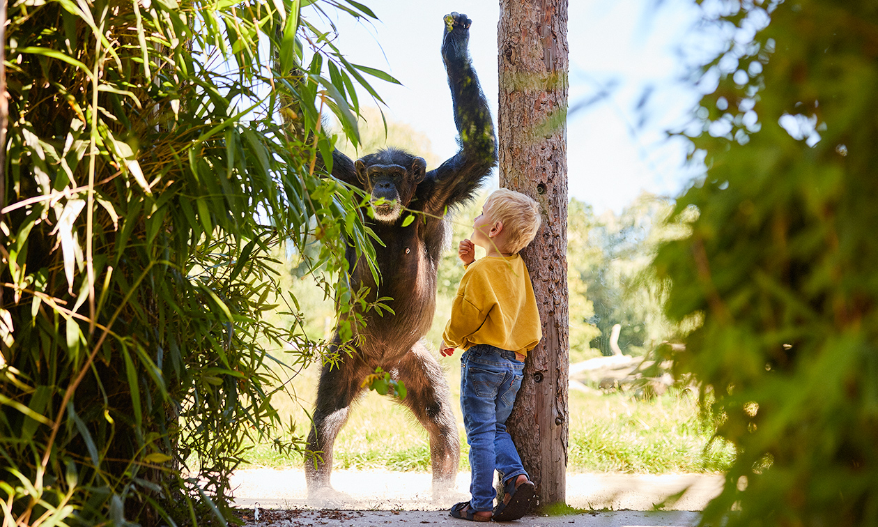 Eindhoven Zoo