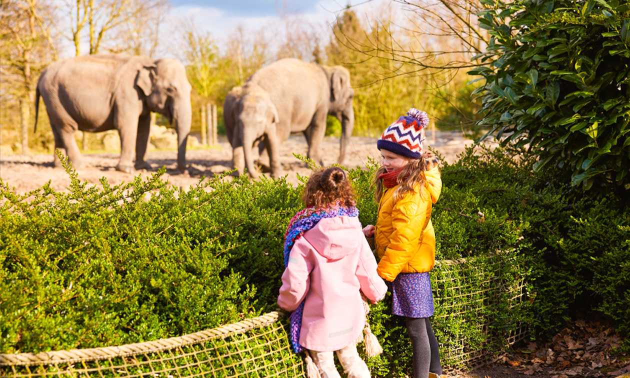 Eindhoven Zoo
