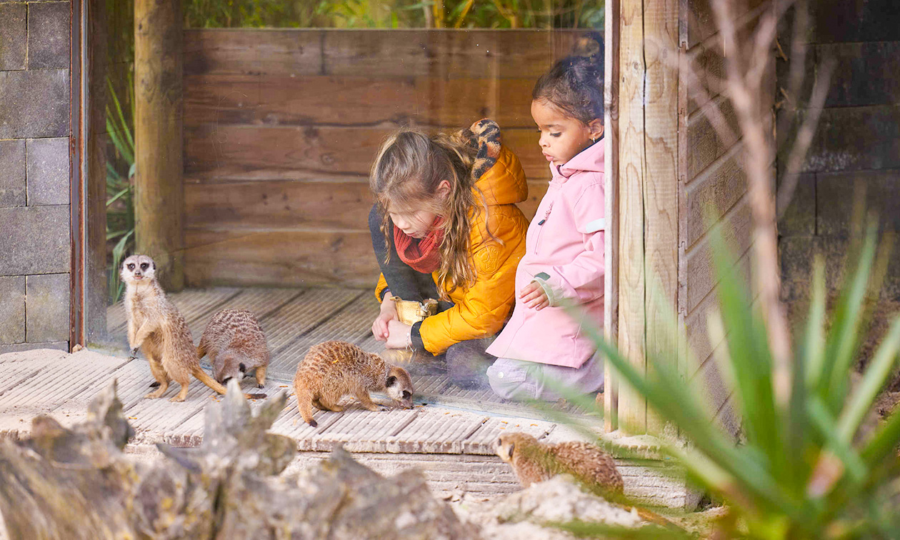Eindhoven Zoo