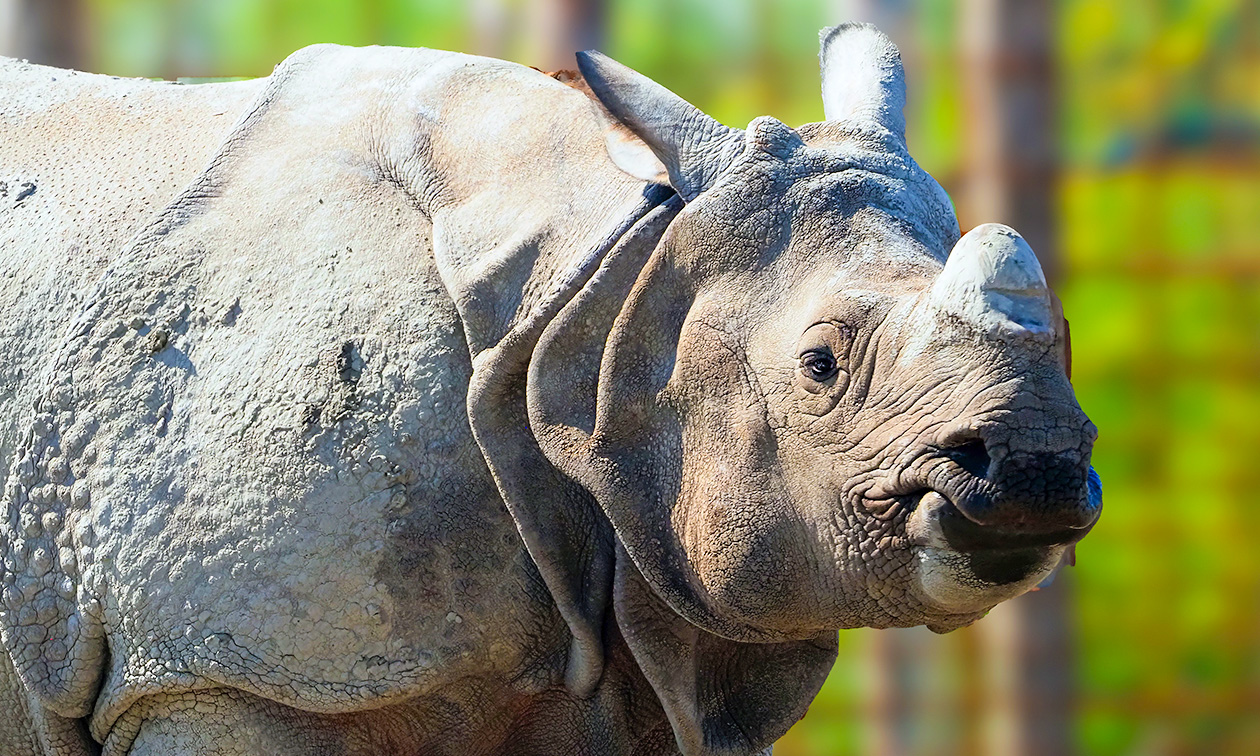Eindhoven Zoo