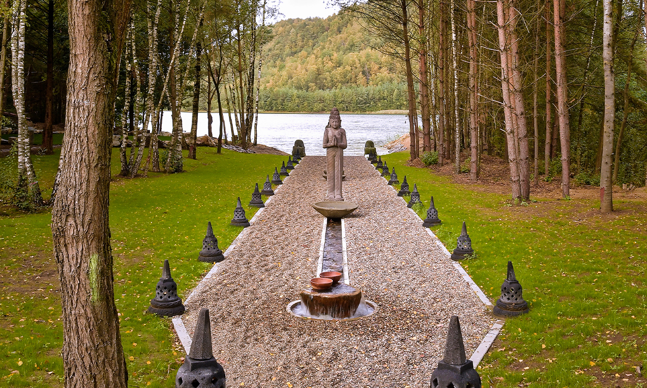 Elaisa Energetic Wellness