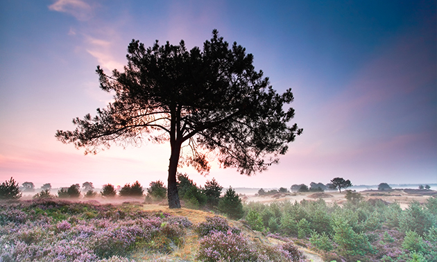 Hotel De Bonte Wever Assen