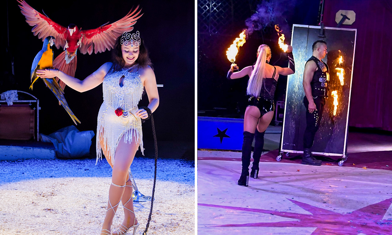 Kerstcircus Nijmegen
