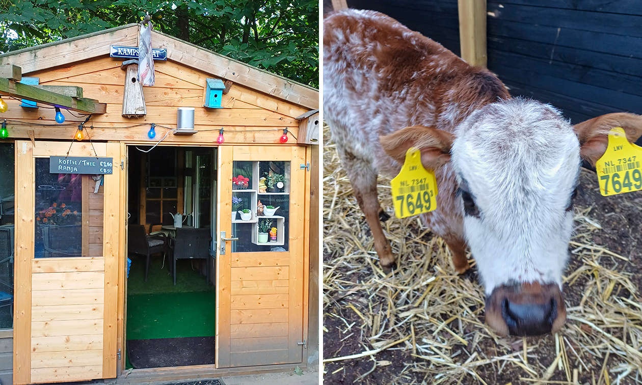 Knuffelboerderij de Goordonkhoeve