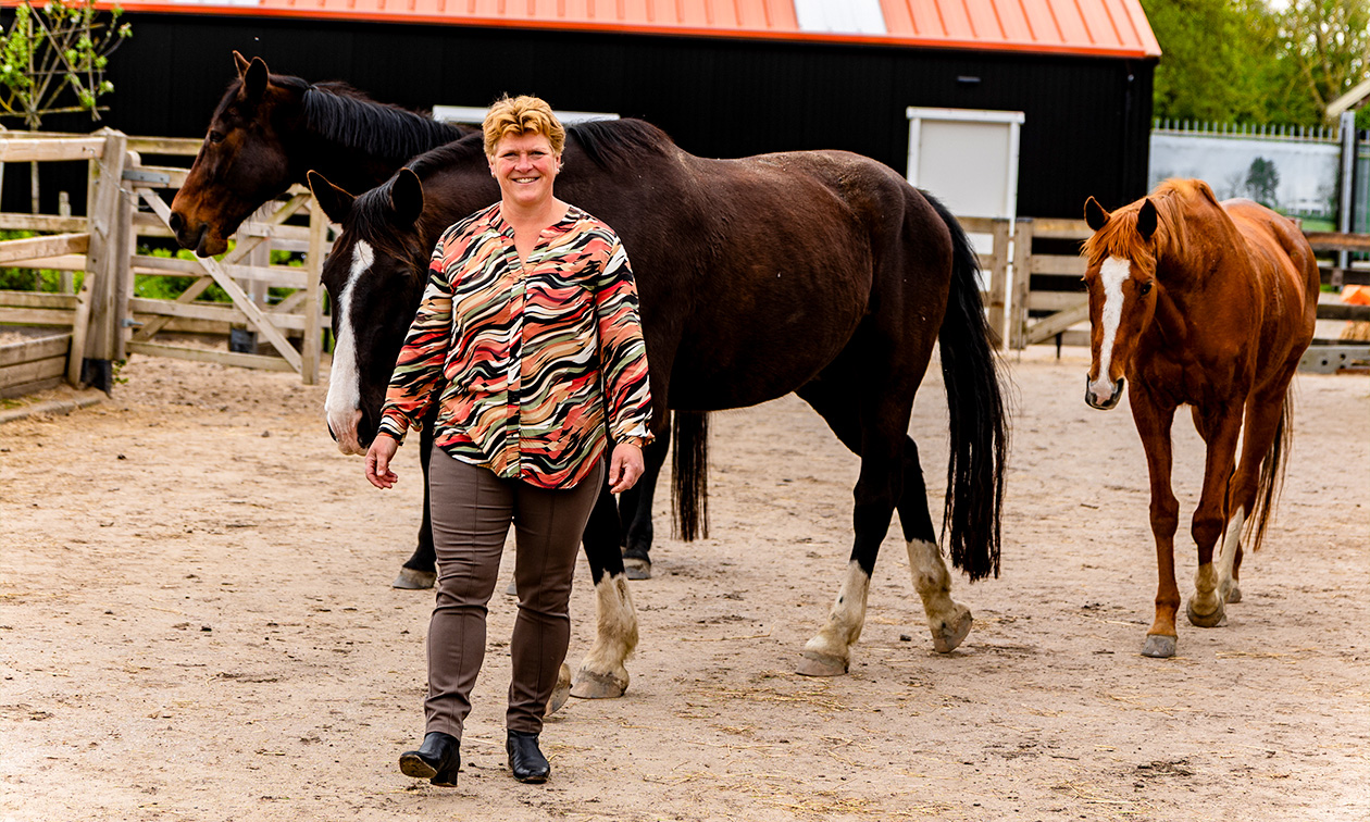 Livenjoy