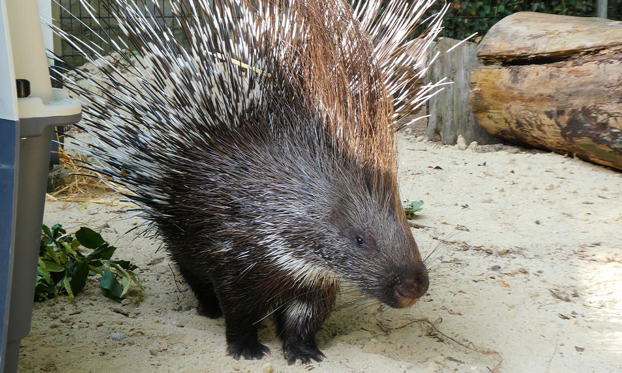 Natur- und Tierpark Brüggen