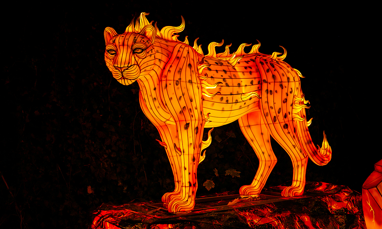 Ouwehands Dierenpark Rhenen