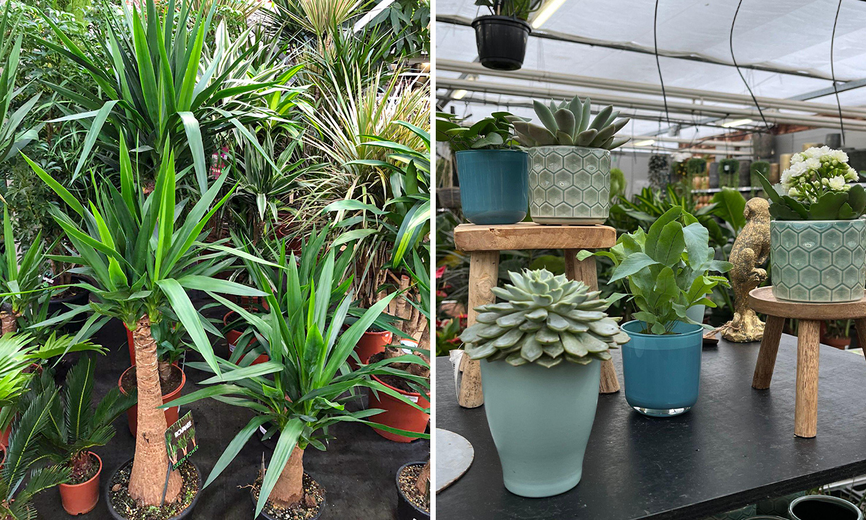 Peer Tuincentrum