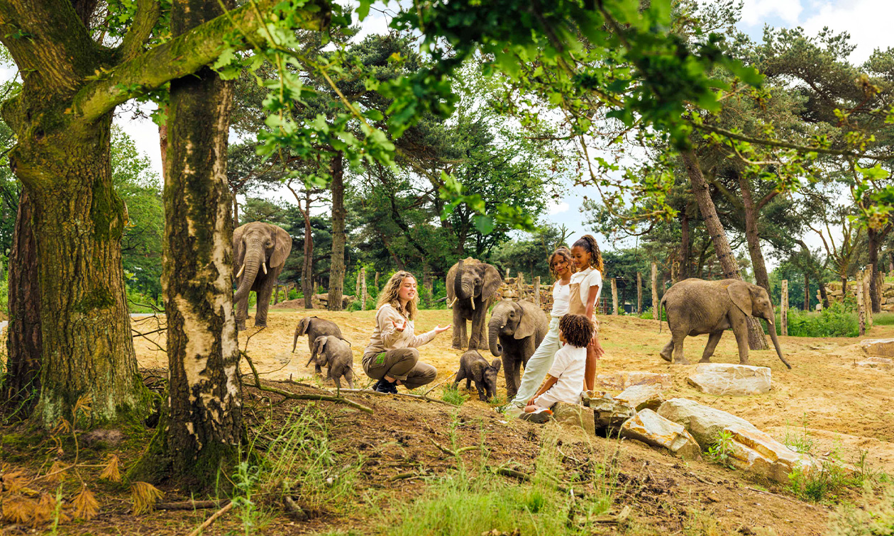 Safaripark Beekse Bergen