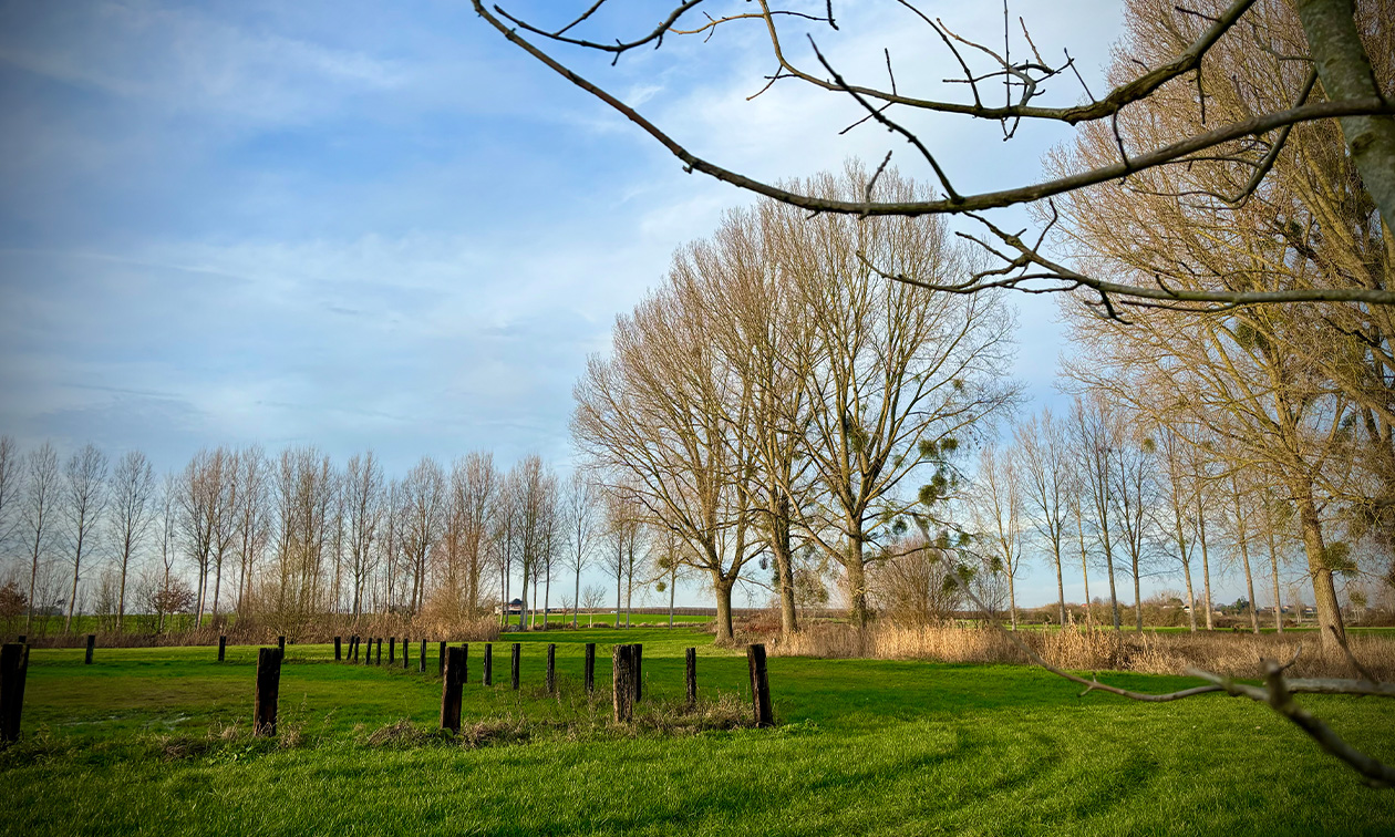 't Rood Kasteel