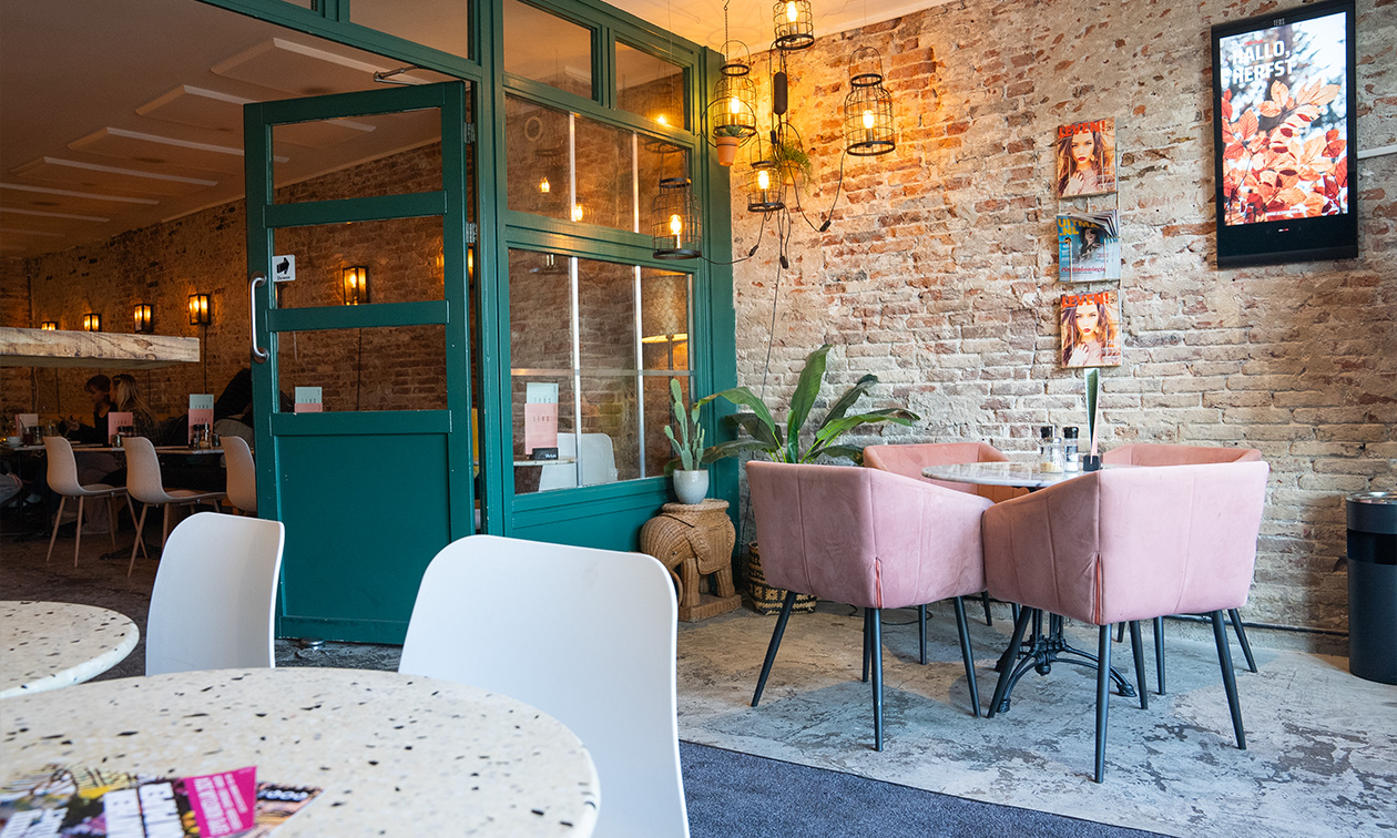 Teds Haarlem