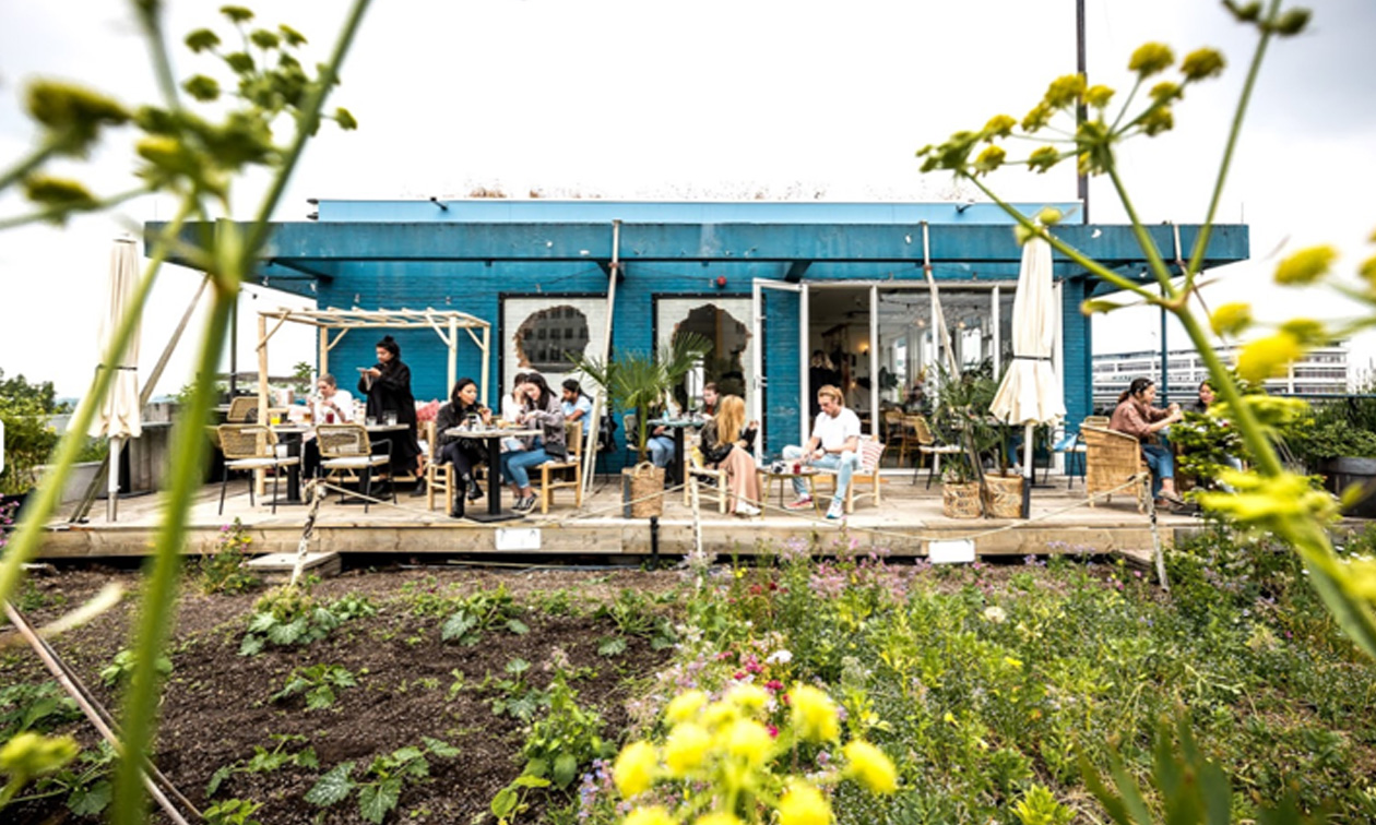 Teds Rotterdam Op 't Dak