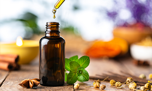 The Essential Oil Lifestyle