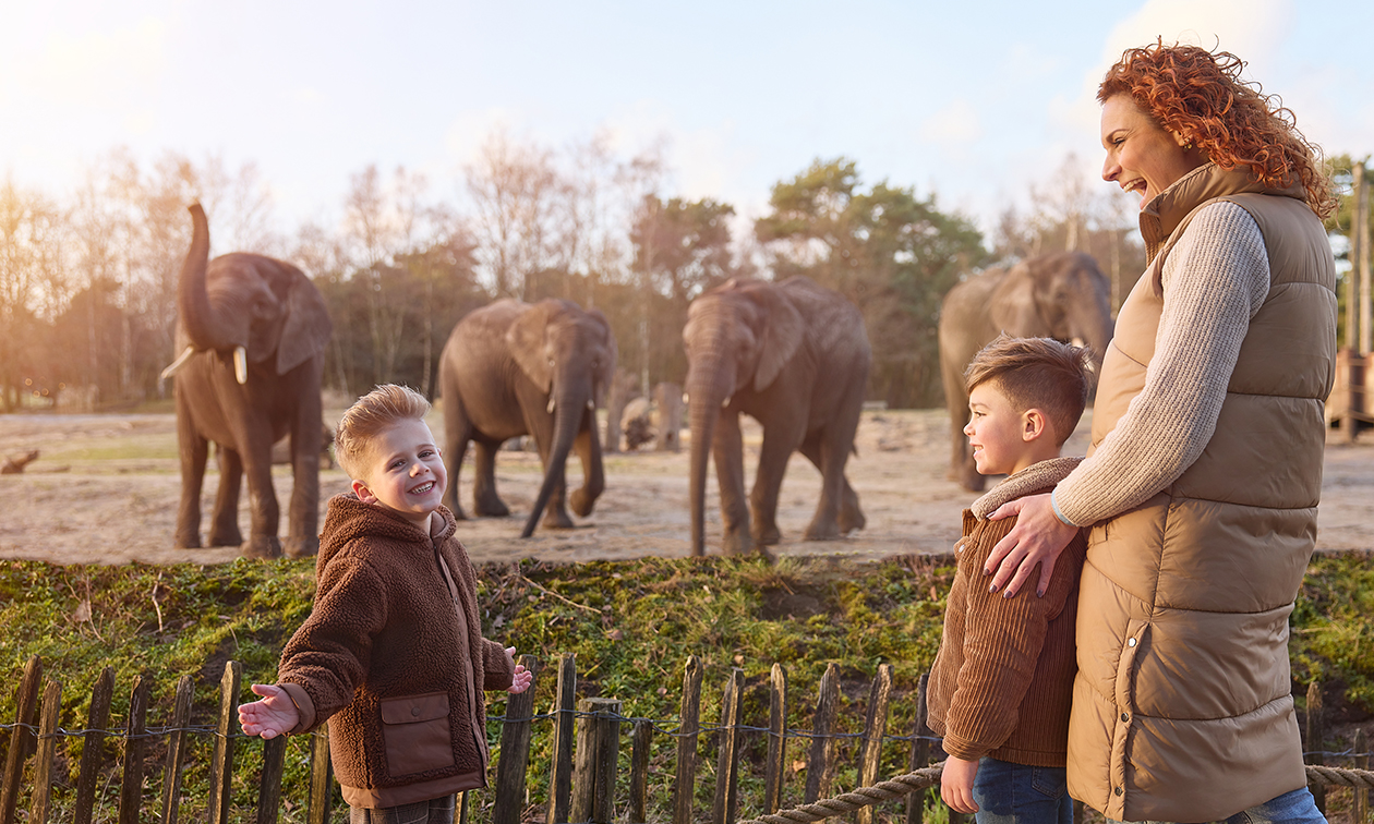 Vakantiepark Dierenbos