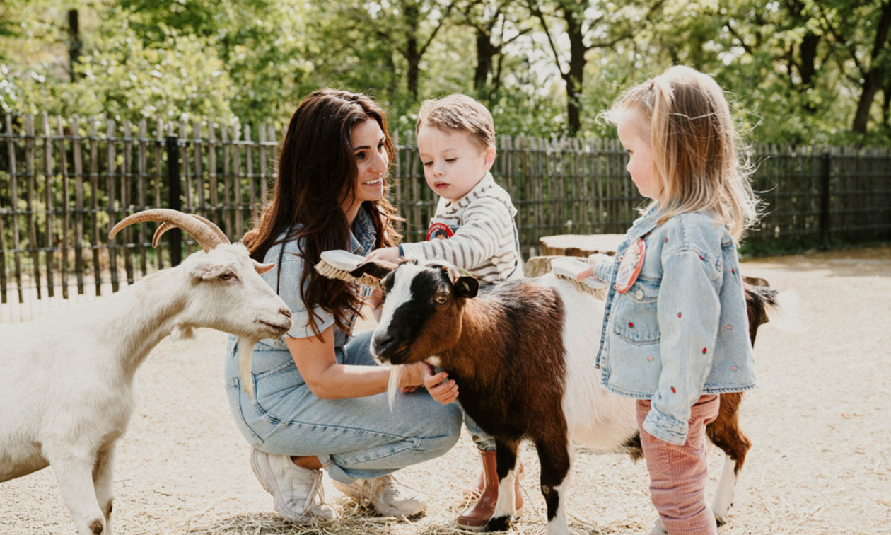 Vakantiepark Dierenbos