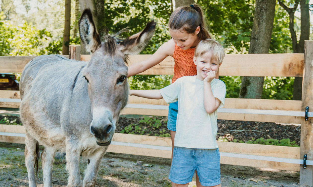 Vakantiepark Dierenbos