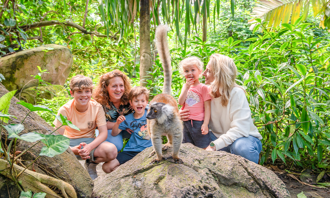 WILDLANDS Adventure Zoo Emmen