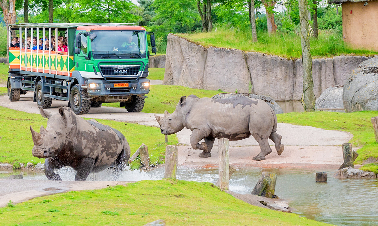 WILDLANDS Adventure Zoo Emmen