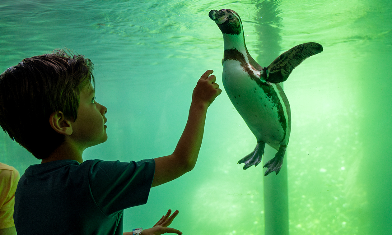 WILDLANDS Adventure Zoo Emmen