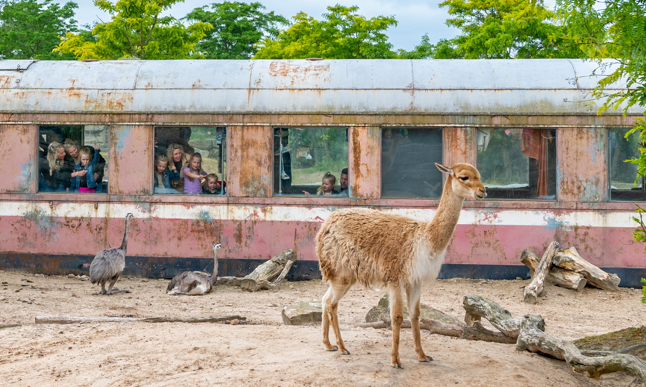WILDLANDS Adventure Zoo Emmen