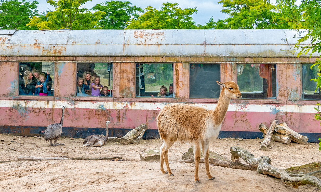 WILDLANDS Adventure Zoo Emmen