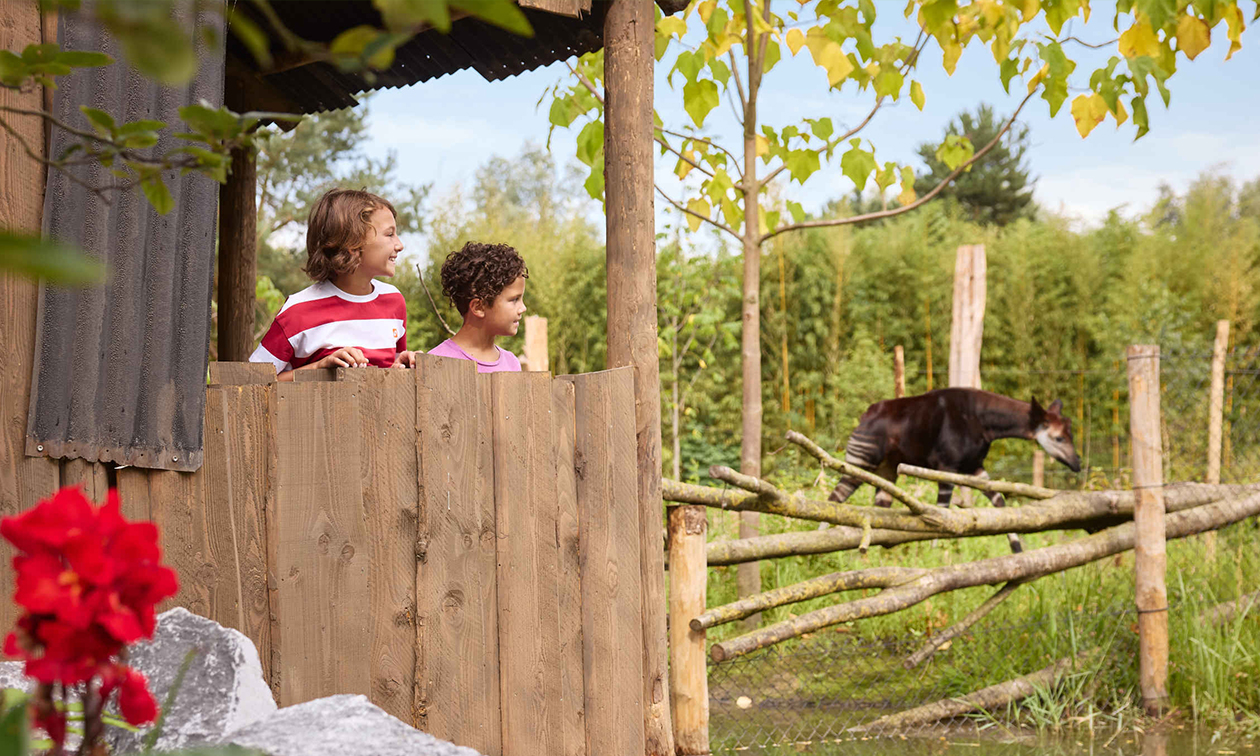 ZooParc Overloon