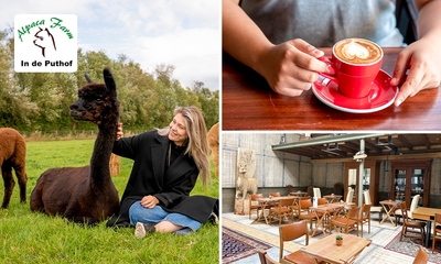 Alpaka Experience (1,5 Stunden) + Kaffee/Tee + Gebäck