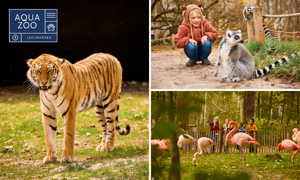 Eintritt in den AquaZoo