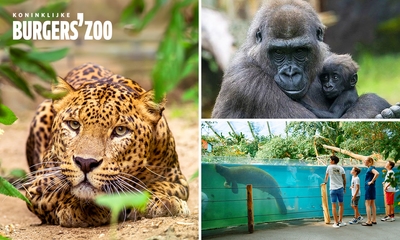 Eintritt in den Burgers' Zoo