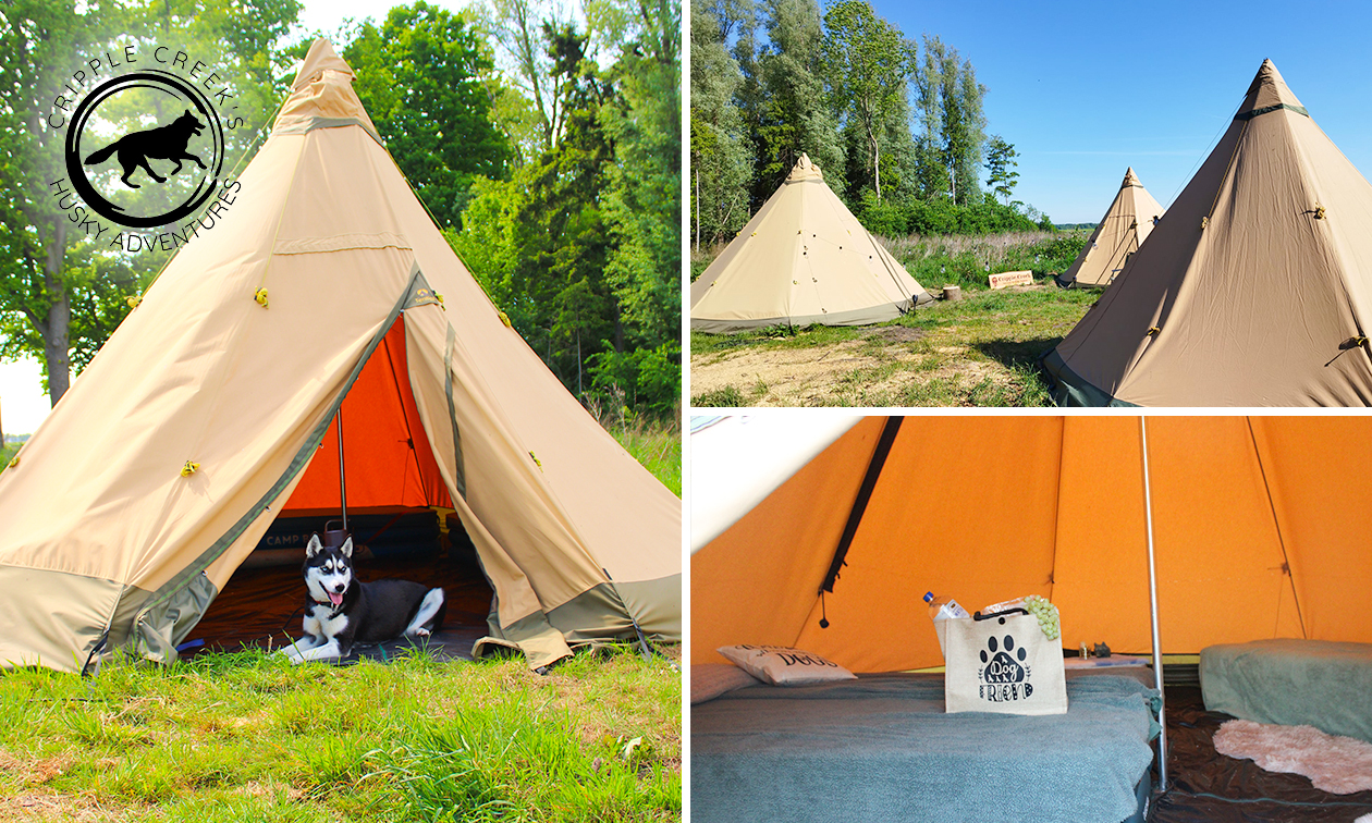 Übernachtung für 1 bis 4 Pers. + Husky-Wanderung, Brunch mit Etagere, Frühstück und mehr