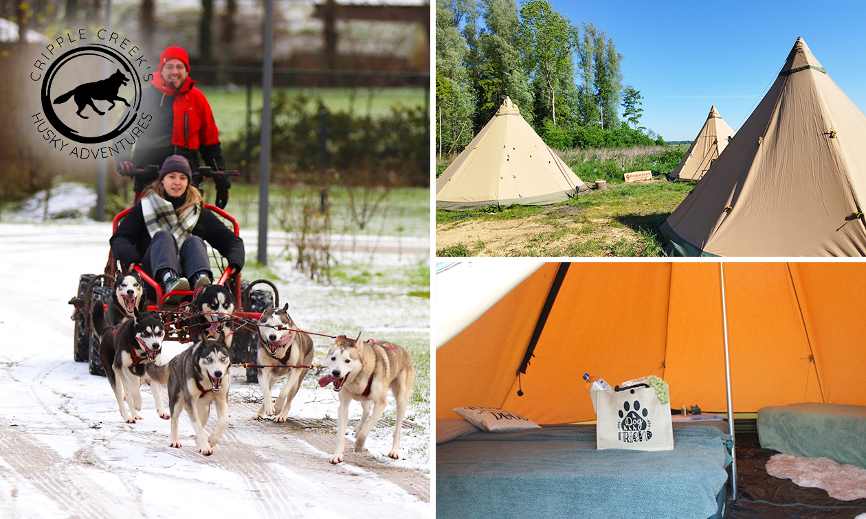 Übernachtung für 1 + Husky-Wanderung, Brunch mit Etagere, Frühstück und mehr