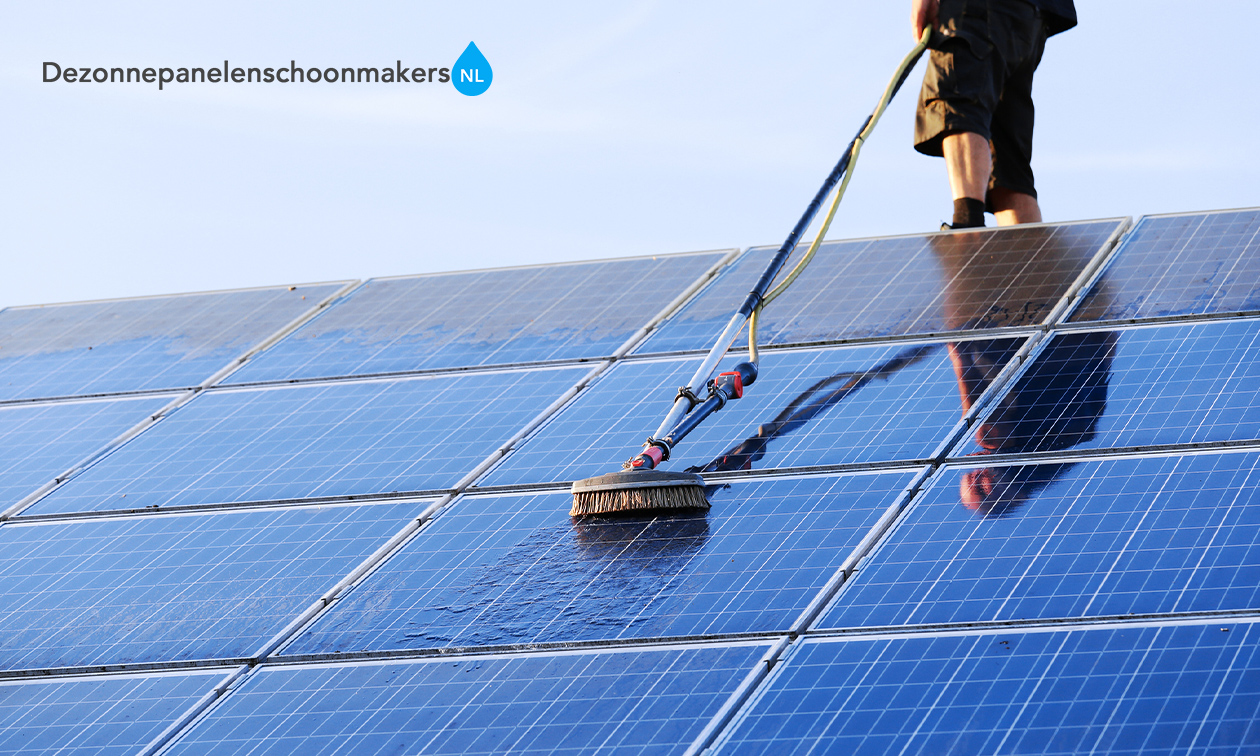 Zonnepanelen en dakgoot reinigen of vogelwering