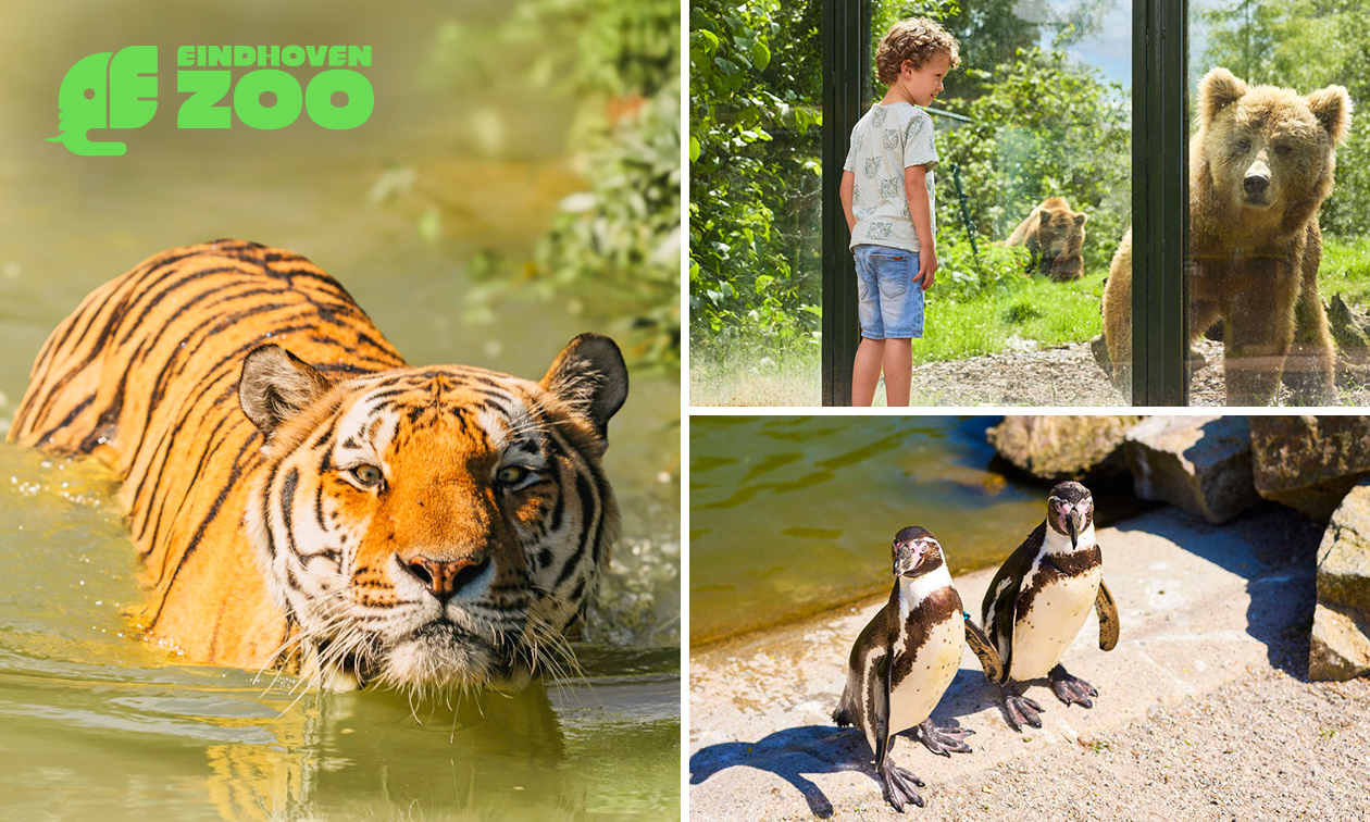 Gehele dag entree tot Eindhoven Zoo
