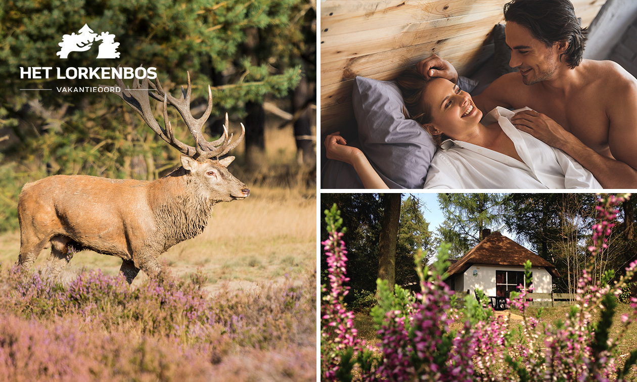 Wochenende oder Wochenmitte (2 bis 8 Pers.) in der Veluwe