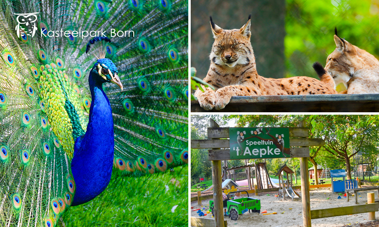 2 entreetickets voor Kasteelpark Born