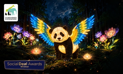 Eintritt für Light Nights oder Eintritt in den Tierpark + Light Nights (1 Pers.) im Ouwehands Dierenpark