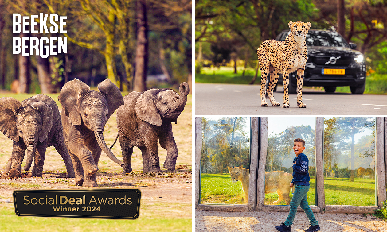 Eintritt Safaripark Beekse Bergen